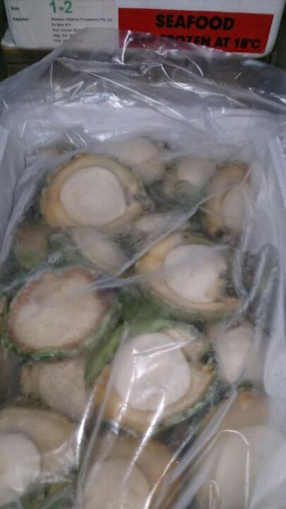 南澳洲青邊鮑 1至2頭（半磅 / 1磅)