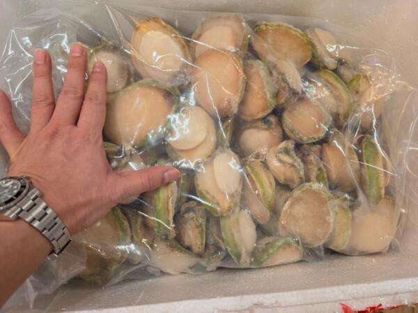 南澳洲珍寳B B鮑（半磅 / 1磅)