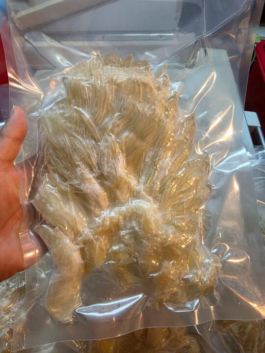 南美急凍海虎翅（6-7両1包）